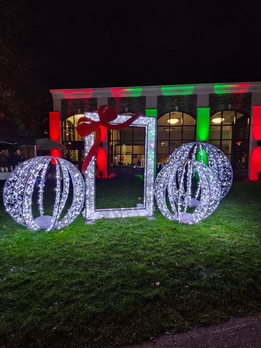 Downtown Holiday Lights